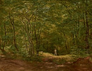 Wandelaars in een boslandschap