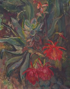 Bloeiende cactussen door Friedrich Radler