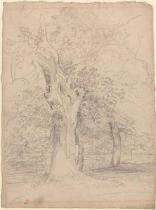 Een oude boom met figuren in een landschap