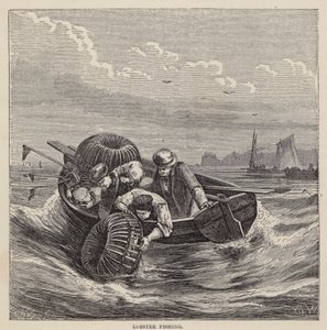 Kreeftvissen