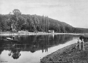 Cliefden Woods, ca. 1896