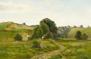 Zomerse heuvelachtige landschap