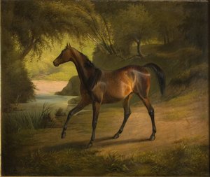 Antonia door Fritz Thomsen