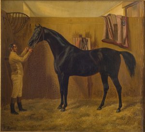 Zwarte Komeet door Fritz Thomsen