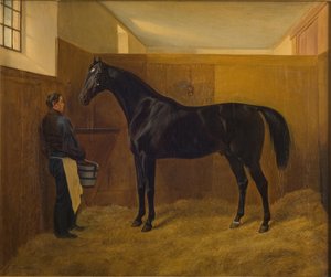 Zampa door Fritz Thomsen
