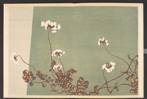 Shasei sôka môyô, Patronen van planten en bloemen uit het leven door Furuya Korin