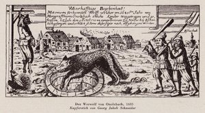 De wolf van Ansbach door G.J. Schneider