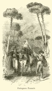Portugese boeren