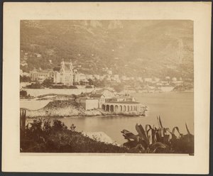 Monte Carlo duivenschieten