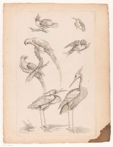 Zeven Chinese vogels, waaronder reigers en papegaaiachtigen door Gabriel Huquier (attributed to)