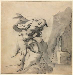 Narcissus