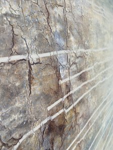  door Gabriela Aleksandra Szuba