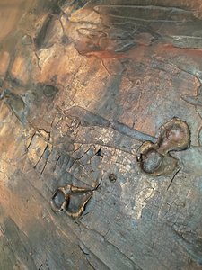  door Gabriela Aleksandra Szuba