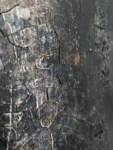  door Gabriela Aleksandra Szuba