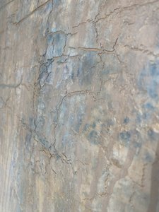  door Gabriela Aleksandra Szuba