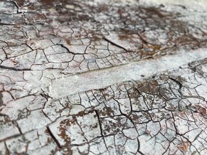  door Gabriela Aleksandra Szuba