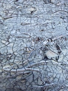  door Gabriela Aleksandra Szuba