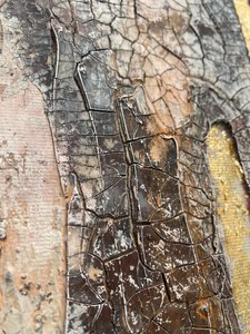  door Gabriela Aleksandra Szuba