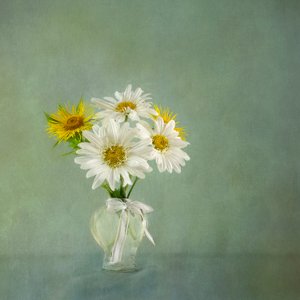  door Gaille Gray