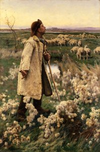 Herder