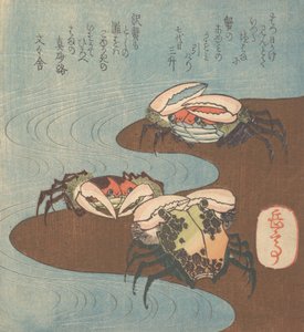 Krabben bij de Waterkant door Gakutei