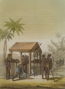 Graf van de koningen van Guinea met votiefhoofden, plaat 33 uit 