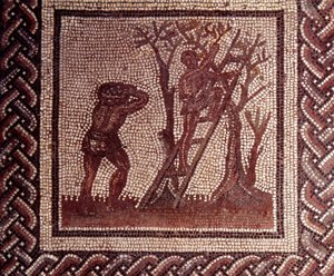 Gallo-Romeinse kunst: mozaïekbestrating die een rustieke kalender voorstelt. Olijven plukken scène. Eind 2e, begin 3e eeuw na Christus. Uit Saint-Romain-en-Gal (Rhone). Saint Germain en Laye, Nationaal Archeologisch Museum door Gallo Roman
