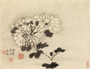 Chrysanten