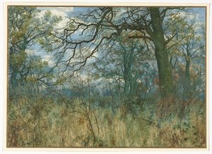 Bomen en Onderhout door Garden William Fraser