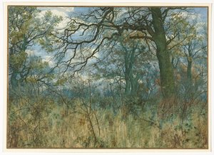 Bomen en Onderbegroeiing, 1885