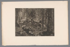 Boslandschap