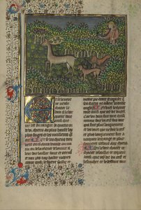 Boek van de Jacht