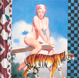Zwemmend meisje met tijger (collage)