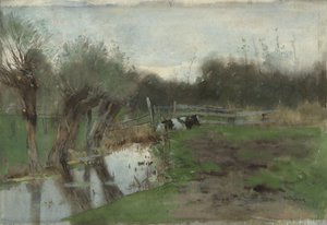 Weiland met liggende koe bij een sloot