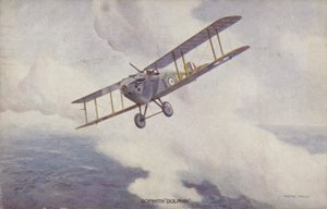 Sopwith Dolphin gevechtsvliegtuig door Geoffrey (after) Watson