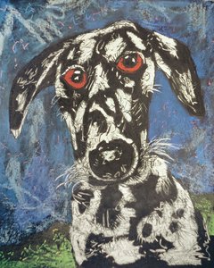 Hond 1, 1994