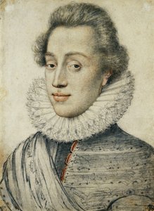 Portret van een jonge man van kwaliteit, halve lengte, in een hoge kraag