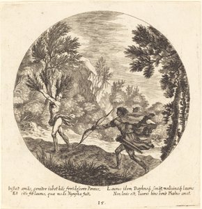 Daphne Verandert in een Laurier door Georg Andreas Wolfgang the Elder
