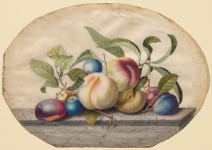 Fruitarrangement: Perziken en pruimen op een marmeren plaat, 1742 door Georg Dionysius Ehret