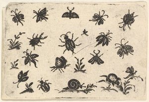 Kleine motieven van insecten en planten