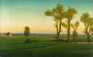 Moeraslandschap