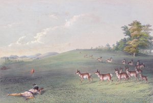 George Catlin