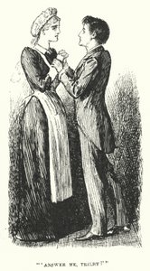 Illustratie voor Trilby door George du Maurier door George (after) Du Maurier
