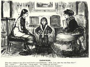 Punch cartoon (gravure)