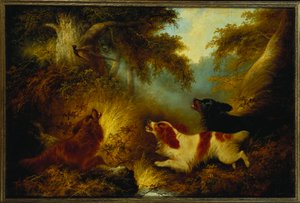 Spaniëls die een fazant opjagen door George Armfield