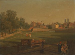 Een westelijk uitzicht op een deel van Westminster en Bird Cage Walk genomen vanaf het molenhuis door George Arnald