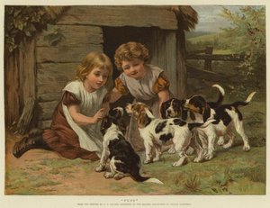 Pups