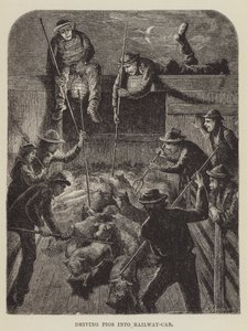 Varkens in een Spoorwegwagon Drijven door George Augustus Sala