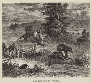 Vossenjacht in Virginia