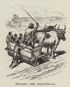 De renbaan rollen